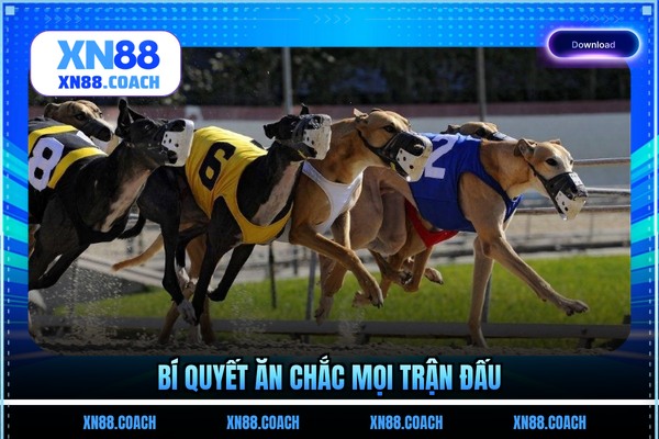Bí quyết ăn chắc mọi trận đấu