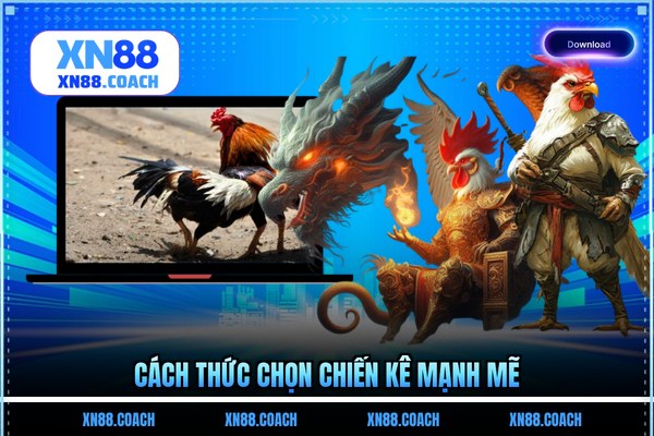 Cách thức chọn chiến kê mạnh mẽ