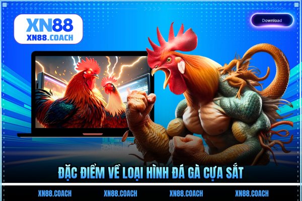 Đặc điểm về loại hình đá gà cựa sắt Đặc điểm về loại hình đá gà cựa sắt