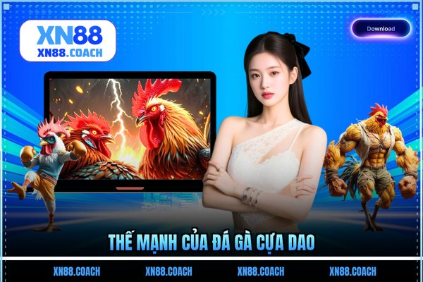 Thế mạnh của đá gà cựa dao Thế mạnh của đá gà cựa dao